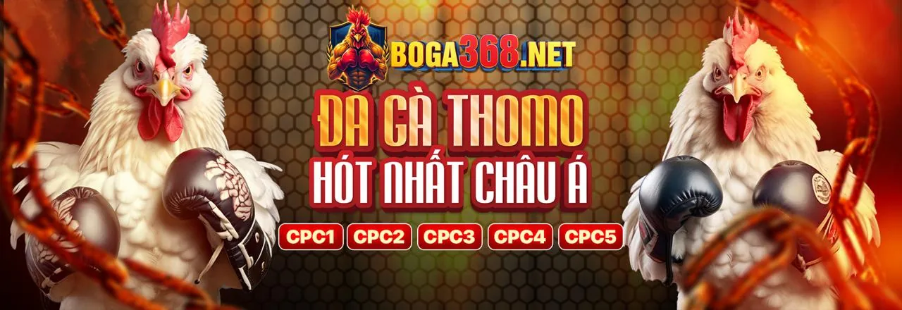 Hình ảnh hoàn trả hàng tuần/tháng với tỷ lệ cao tại JDB