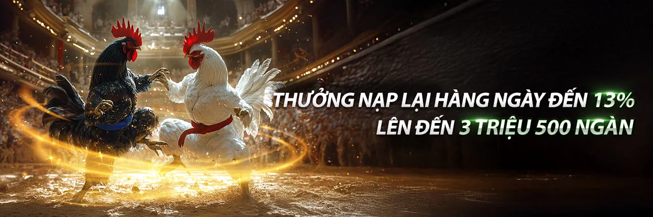 Sân vận động đầy ắp khán giả với ánh đèn rực rỡ, nhấn mạnh không khí cá cược thể thao sôi động tại jdb link mới